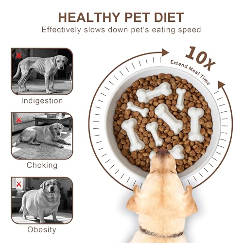 Ceramic Slow Feeder Dog Bowls (White Bone)