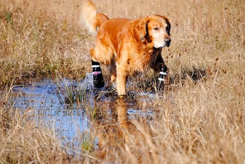 All Weather Neoprene Paw Protector Dog Boots with Reflective Straps in 5 Sizes! (Medium)