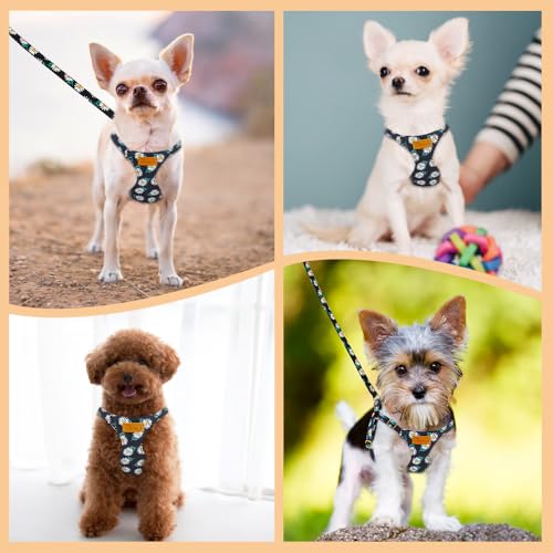 No Pull Dog Harness with Leash for Small Medium Dogs (XX-Small(2.2-6lb) / Black Daisy)