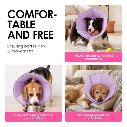 Dog Cones for Medium Dogs (Purple / Medium)