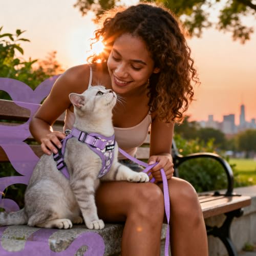 Cat Harness and Leash Set (Xxs / Purr-ple Daisy)