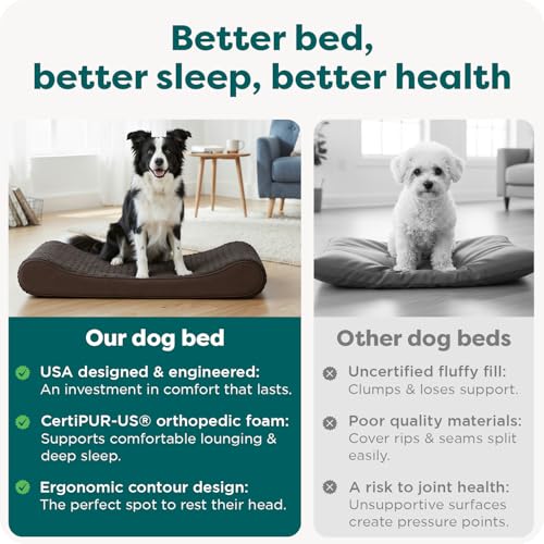 Orthopedic Dog Bed for Large (Large / Chocolate)