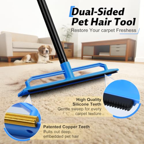 2 in 1 Carpet Rake for Pet Hair Removal Tool (Blue)