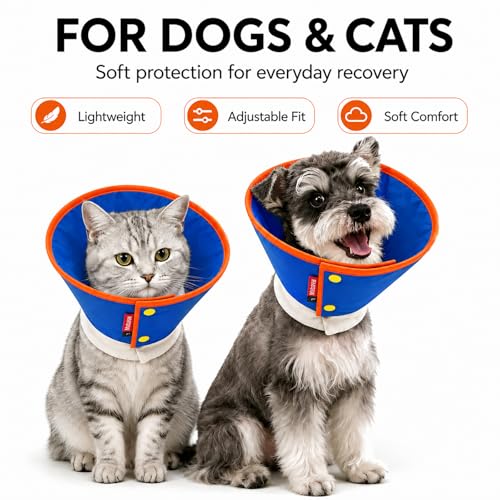Soft Dog Cone Collar for Dogs & Cats (Blue / M)