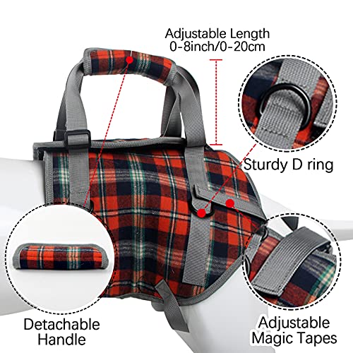 Dog Lift Harness (X-Large / Hind Legs-Orange)