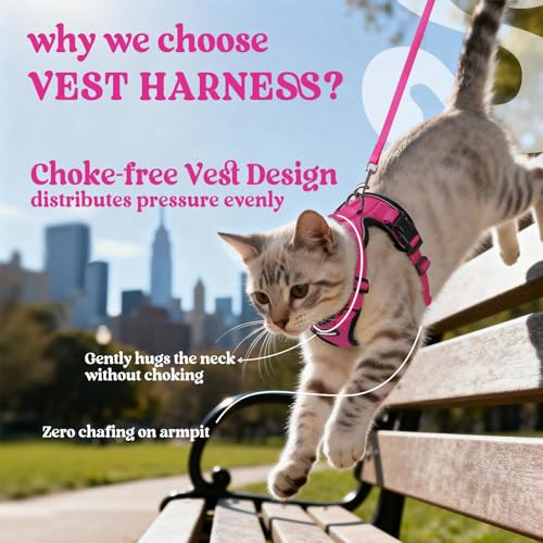 Cat Harness and Leash Set (Xxs / Rose Red)