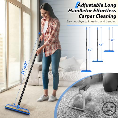 2 in 1 Carpet Rake for Pet Hair Removal Tool (Blue)