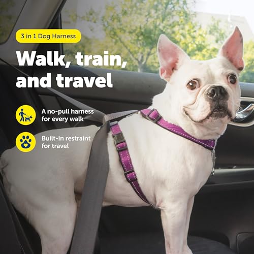 3 in 1 Dog Harness (Plum / Small (Pack of 1))