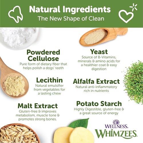 Wellness WHIMZEES Daily Brushzees Dog Dental Treats (7 Count (Pack of 1))