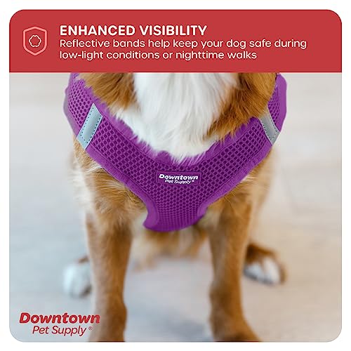 Step in Dog Harness (X-Small / Purple)