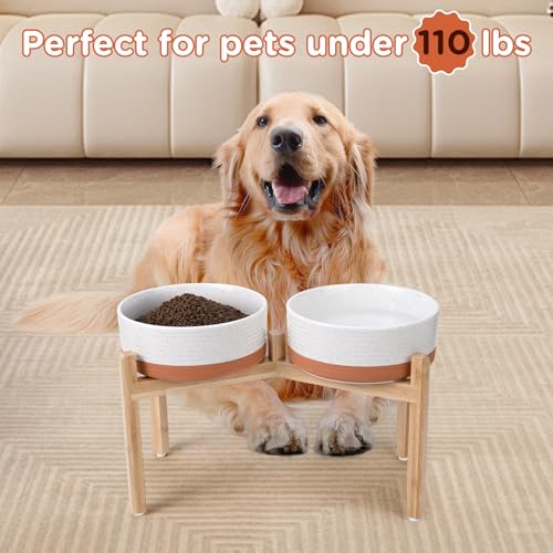 Elevated Dog Bowls Ceramic (8.3 in - 7.6 cups / Pattern White)