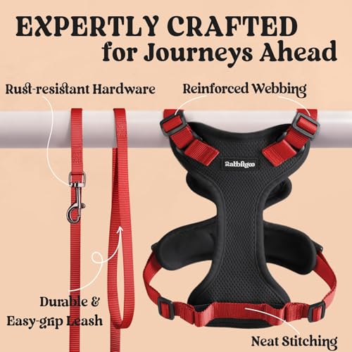 Cat Harness and Leash Set (S / Black & Red)