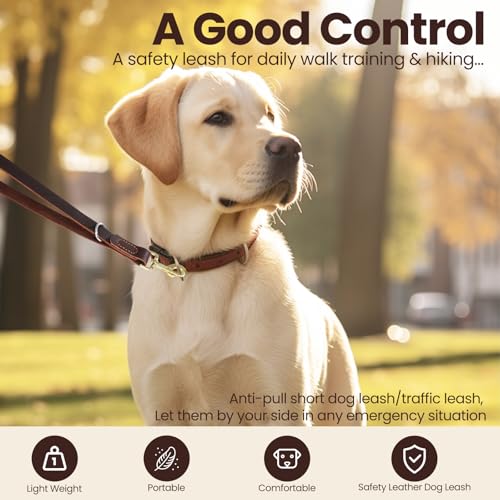 Leather Dog Leash (1.0 ft L x 1.0 in W)