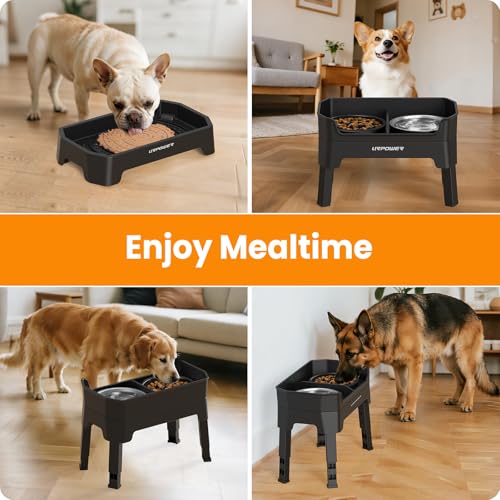Mess Proof Elevated Dog Bowls Double Deck Slow Feeder (Jet Black / Large)
