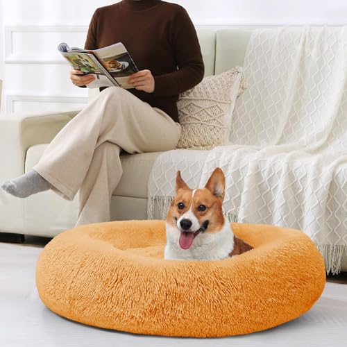 Dog Beds Large Sized Dog (36" / Orange)