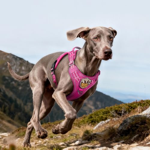 Tactical Dog Harness for Large Dogs (L(Chest:22"-37",Neck:21.1"-30.3",Back:8.3") / Rose Red)