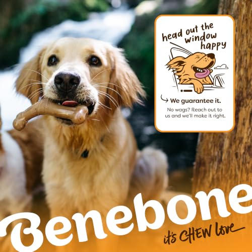 Wishbone Dog Chew Toy for Aggressive Chewers (Large)