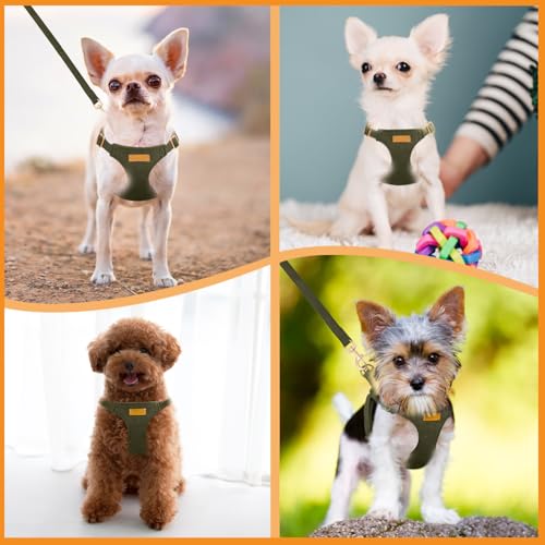 No Pull Dog Harness with Leash for Small Medium Dogs (XX-Small(2.2-6lb) / Solid Military Green)