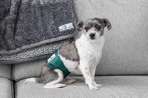 Washable Belly Bands for Male Dogs (Large (20-25") / Spruce)