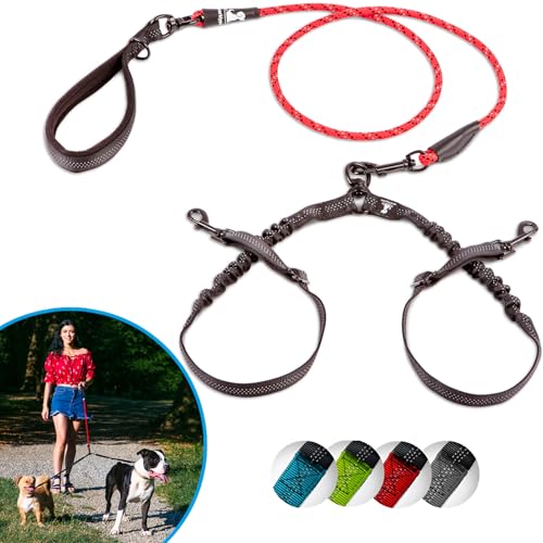 Double Dog Bungee Rope Leash for 2 Small Dogs (Red)