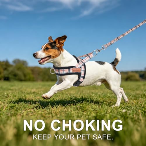 Small Dog Harness and Leash Set (Buffalo Beige / S: Chest 17.5"-22")