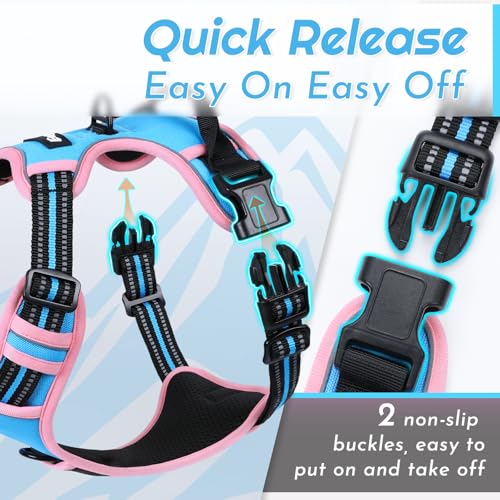 Dog Harness for Medium Sized Dogs (Medium / Pink & Sky Blue)