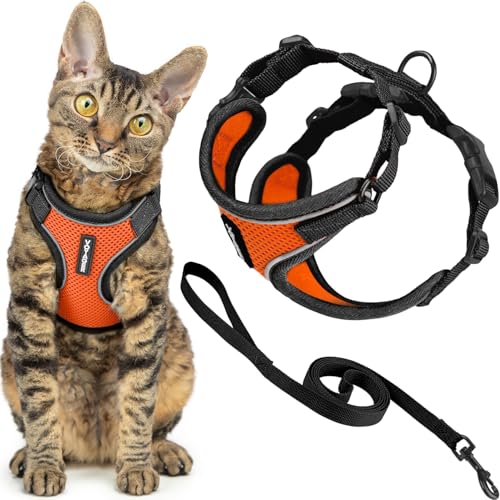 Voyager Escape (Black Trim-Orange (327) / XXS (Chest: 11.5 - 14"))