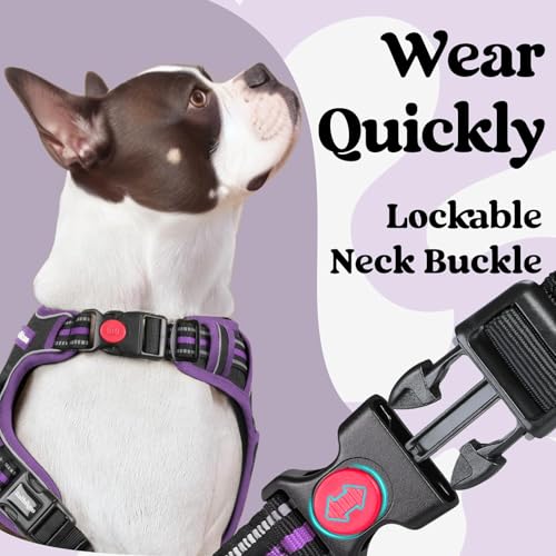 Dog Harness Medium Sized (Medium / Black & Purple)