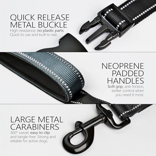 Waist Leash for Dog Walking (Black / Iron Grey)