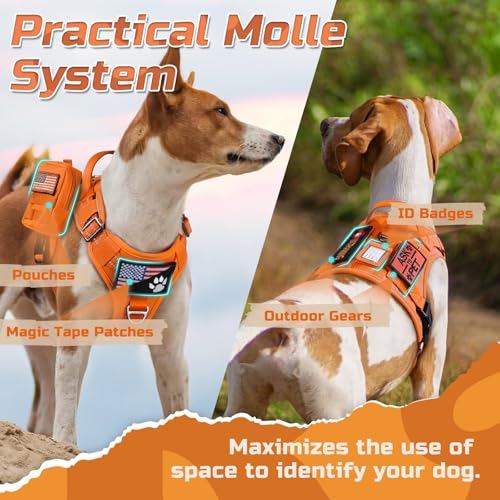 Tactical Dog Harness for Large (Orange / Large)