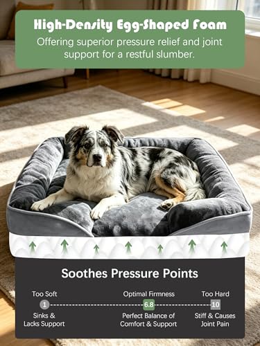 Orthopedic Dog Bed with Sides (35.0"L x 25.0"W x 6.5"Th / Grey)