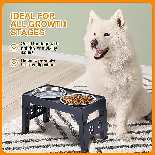 Elevated Dog Bowls (Black)