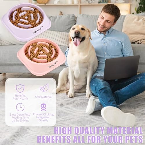 2 Pack Slow Feeder Dog Bowls for Medium Dogs & Cats (Medium / Pink and Purple)