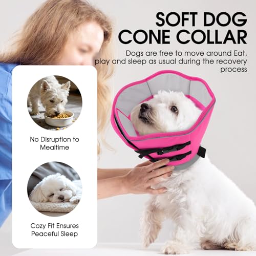 Soft Dog Cone Collar (Pink / Small)