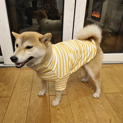 Turtleneck Dog Shirt Cute Doggie Embroidery Super Soft Dog Sweatshirt Stretchy Striped Puppy Pullover for Cats Small Medium Large Dogs (Yellow Striped / 6X-Large)