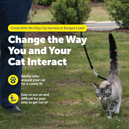 Come With Me Kitty Harness and Bungee Leash (Large (Pack of 1) / Black)