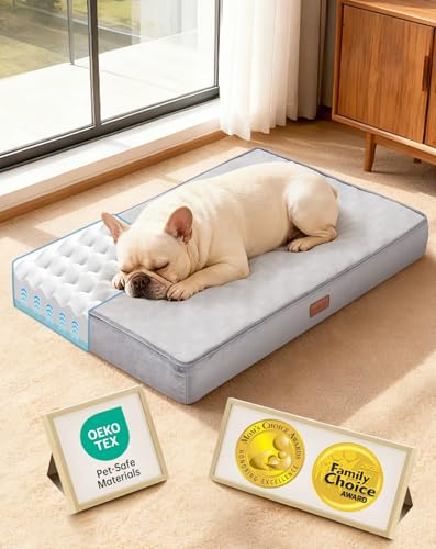 Orthopedic Waterproof Medium Dog Bed (30" x 20" x 3" (For Sprawling) / 01-Gray)