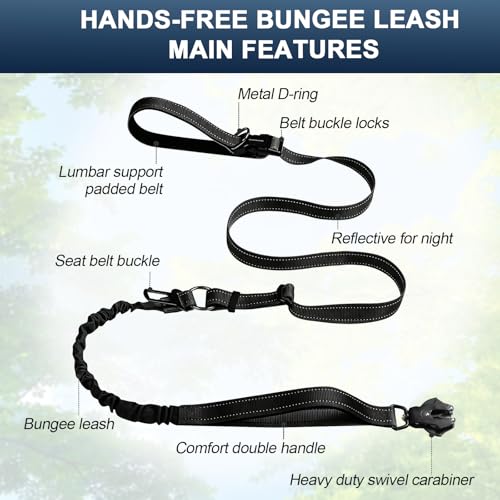 Heavy Duty Hands Free Dog Leash with Quick Release Carabiner and Adjustable No Pull Bungee Dog Running Waist Leash (Black)