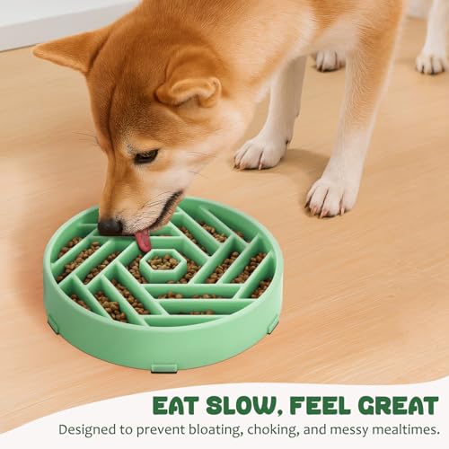 Slow Feeder Dog Bowl (mint green)