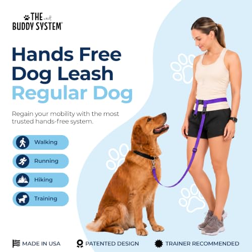 Hands Free Dog Leash (Regular Dog System (Large Belt (27"- 50" Waist)) / Purple)