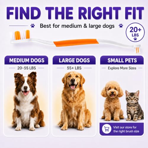 Dog Toothbrush (Orange / 1 Count (Pack of 1))