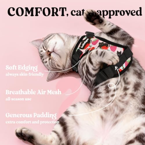 Cat Harness and Leash Set (Xs / Berry Pounce)
