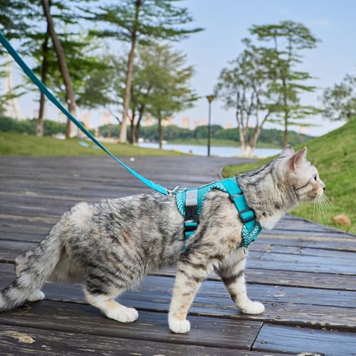 Cat Harness and Leash Set (Turquoise / Medium)