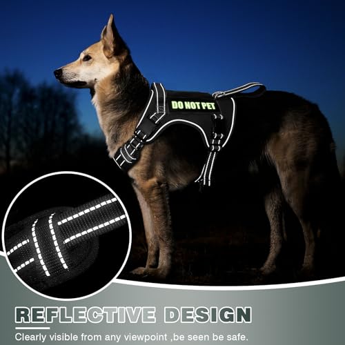 Tactical Dog Harness (Small / Black)