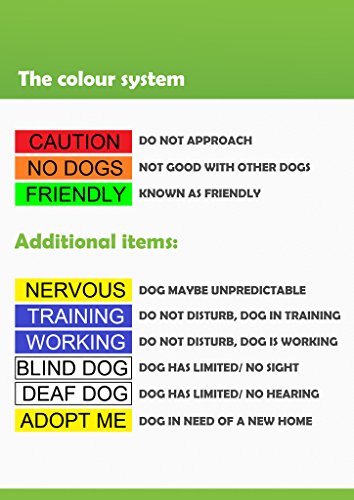 Limited Friendly Green Color Coded 2 4 6 Foot Padded Dog Leash