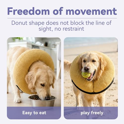 Inflatable Dog Cone Collar (L(Neck 13"-16") / Yellow)