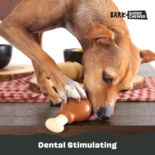 Turkey Drumstick Super Chewer (Small / Turkey Day Drumstick)