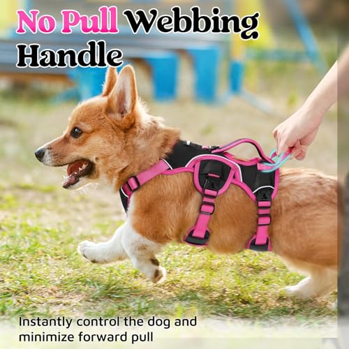 Escape Proof Dog Harness for Small (Rose & Black / Small)