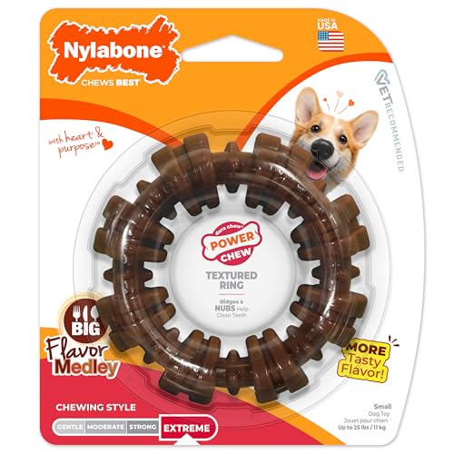 Textured Ring Power Chew Toy for Small Dogs Up to 25 lbs (Small / Textured Ring)