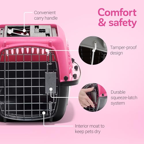 Two Door Plastic Pet Kennel (Two-door / 19.4"L x 10.0"W x 12.8"H / PINK)